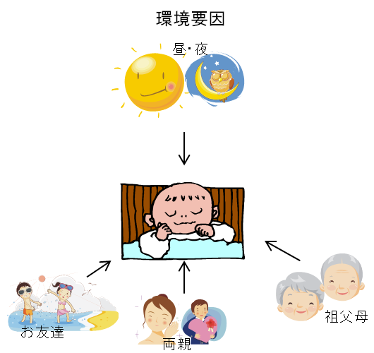 たとえば、昼行性であること たとえば、昼行性であること